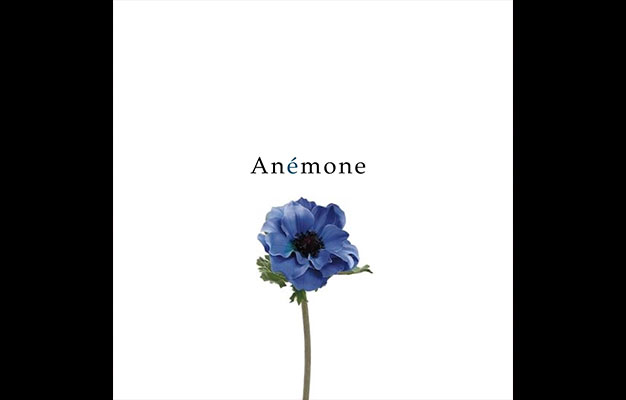 Anémone